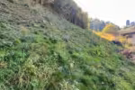 Baugrundstück in Aussichtslage - mit riesiger Grünfläche - Schwaz - Bild
